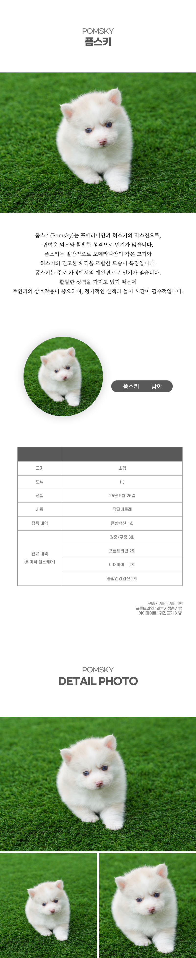 폼스키_상세이미지_2